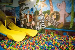 Indoor Slides and Ball Pit